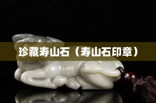 珍藏寿山石（寿山石印章）