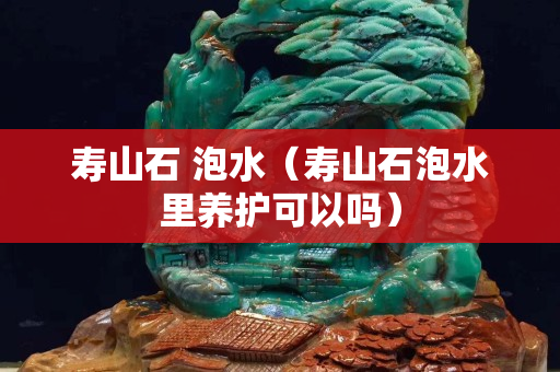 寿山石 泡水（寿山石泡水里养护可以吗）
