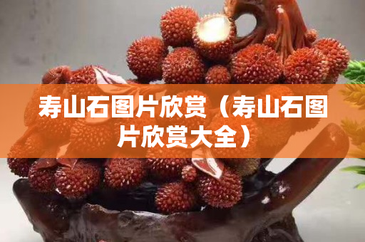 寿山石图片欣赏（寿山石图片欣赏大全）