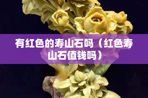 有红色的寿山石吗（红色寿山石值钱吗）