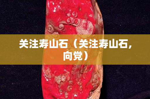关注寿山石（关注寿山石,向党）