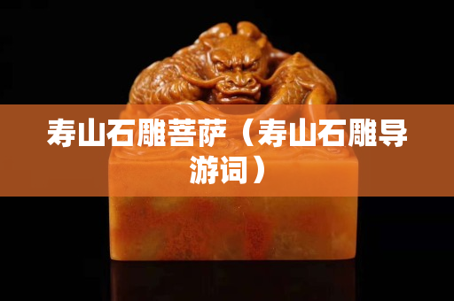 寿山石雕菩萨（寿山石雕导游词）