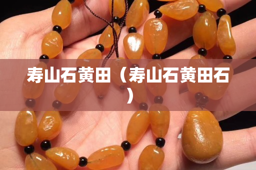寿山石黄田（寿山石黄田石）