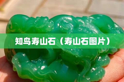 知鸟寿山石（寿山石图片）