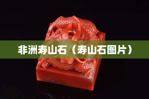 非洲寿山石（寿山石图片）