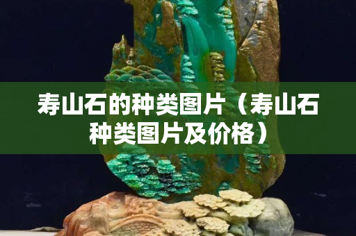寿山石的种类图片（寿山石种类图片及价格）