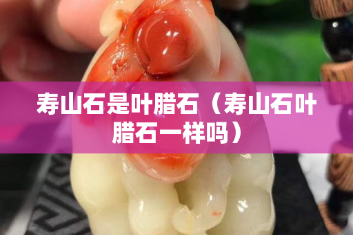 寿山石是叶腊石（寿山石叶腊石一样吗）