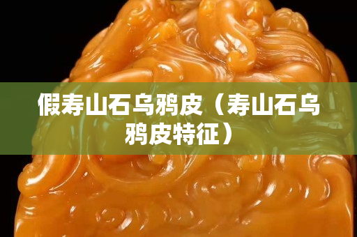 假寿山石乌鸦皮（寿山石乌鸦皮特征）
