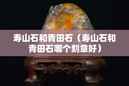 寿山石和青田石（寿山石和青田石哪个刻章好）