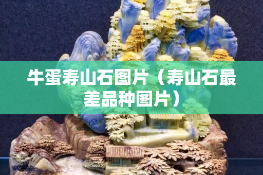 牛蛋寿山石图片（寿山石最差品种图片）
