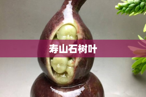 寿山石树叶