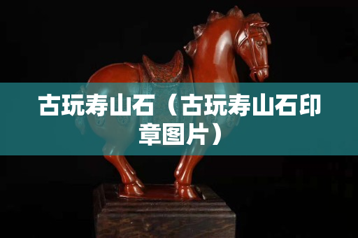 古玩寿山石（古玩寿山石印章图片）