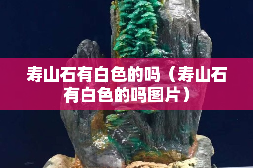 寿山石有白色的吗（寿山石有白色的吗图片）