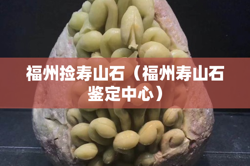 福州捡寿山石（福州寿山石鉴定中心）