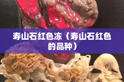 寿山石红色冻（寿山石红色的品种）