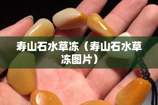 寿山石水草冻（寿山石水草冻图片）