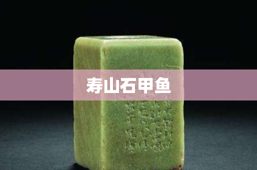 寿山石甲鱼