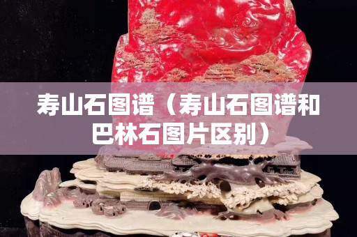 寿山石图谱（寿山石图谱和巴林石图片区别）