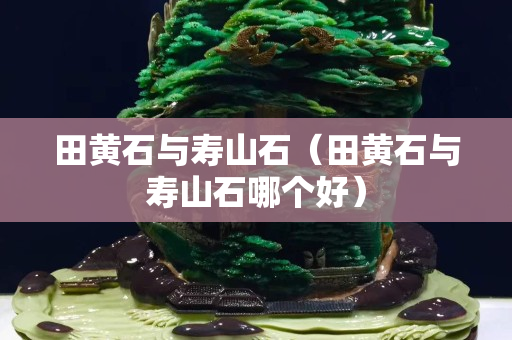田黄石与寿山石（田黄石与寿山石哪个好）