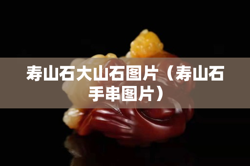 寿山石大山石图片（寿山石手串图片）