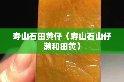 寿山石田黄仔（寿山石山仔濑和田黄）