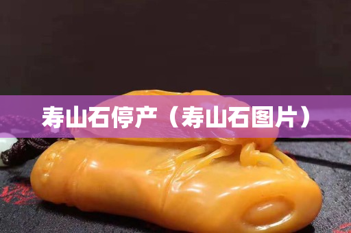寿山石停产（寿山石图片）