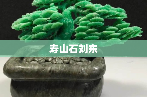 寿山石刘东