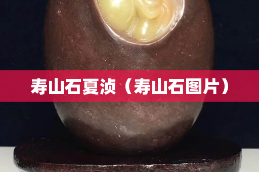 寿山石夏浈（寿山石图片）