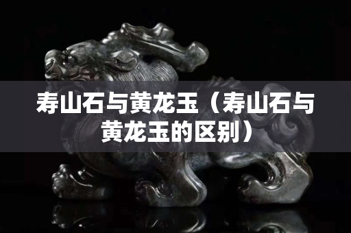 寿山石与黄龙玉（寿山石与黄龙玉的区别）
