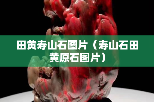 田黄寿山石图片（寿山石田黄原石图片）
