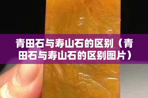 青田石与寿山石的区别（青田石与寿山石的区别图片）