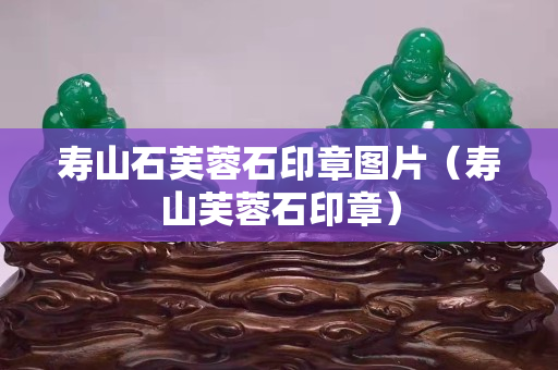 寿山石芙蓉石印章图片（寿山芙蓉石印章）