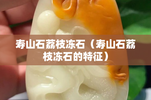 寿山石荔枝冻石（寿山石荔枝冻石的特征）