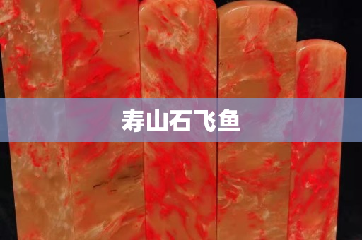 寿山石飞鱼