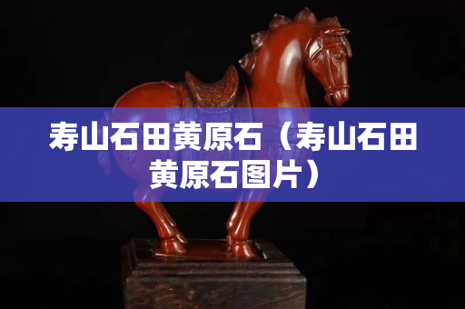 寿山石田黄原石（寿山石田黄原石图片）