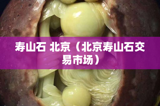 寿山石 北京（北京寿山石交易市场）
