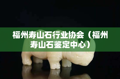 福州寿山石行业协会（福州寿山石鉴定中心）