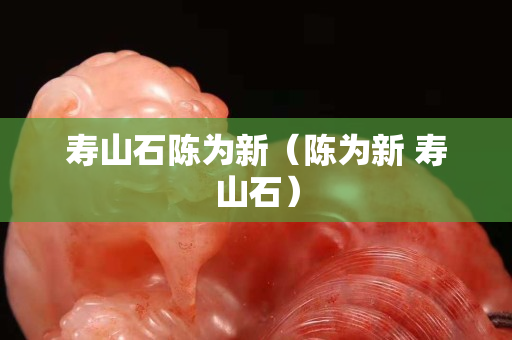寿山石陈为新（陈为新 寿山石）