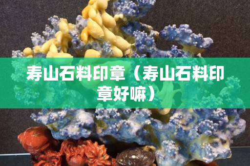 寿山石料印章（寿山石料印章好嘛）