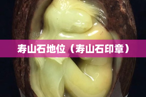 寿山石地位（寿山石印章）