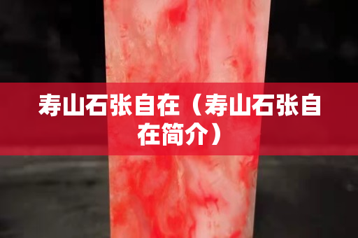 寿山石张自在（寿山石张自在简介）