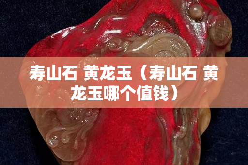 寿山石 黄龙玉（寿山石 黄龙玉哪个值钱）