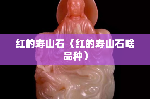 红的寿山石（红的寿山石啥品种）