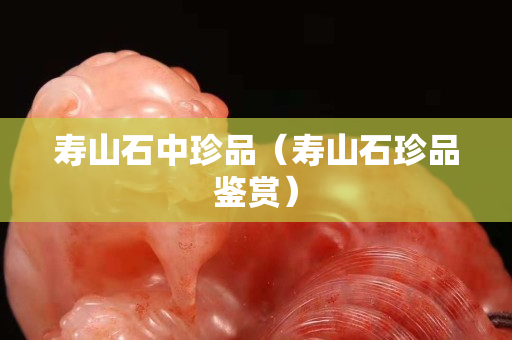 寿山石中珍品（寿山石珍品鉴赏）
