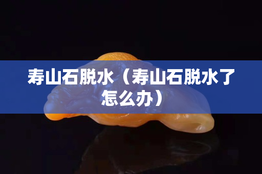 寿山石脱水（寿山石脱水了怎么办）