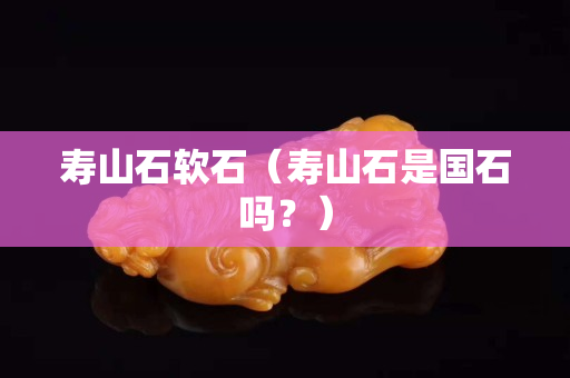 寿山石软石（寿山石是国石吗？）