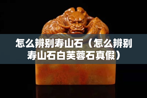 怎么辨别寿山石（怎么辨别寿山石白芙蓉石真假）