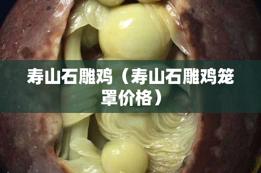 寿山石雕鸡（寿山石雕鸡笼罩价格）