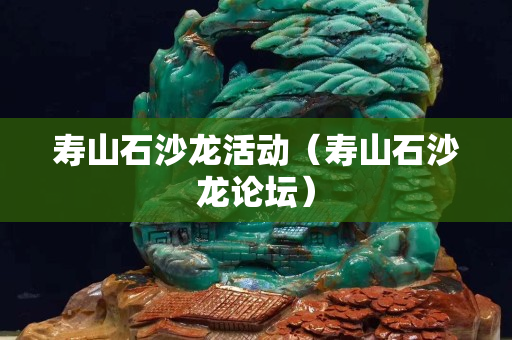 寿山石沙龙活动（寿山石沙龙论坛）