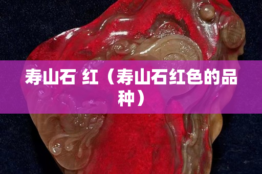 寿山石 红（寿山石红色的品种）